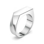 Men's 316L Stainless Steel Punk Signet Ring